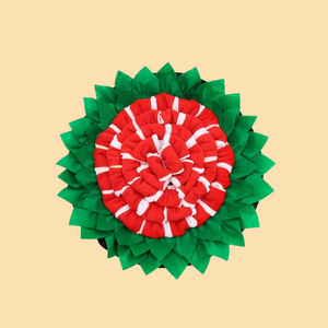 Snuffle Mat - Red and Green