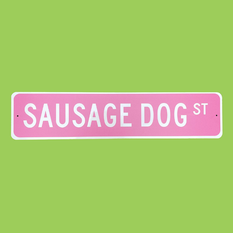 Sausage Dog Street Sign -Quality Metal Sign -Custom Street Sign/ Pink & Blue